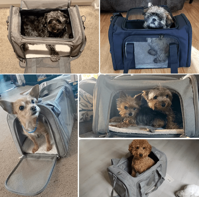 WoYoW®- Zachte zijden rugzak draagtas voor honden - Ademende ruzak vervoer/transport - Geschikt voor kleine honden en katten - sportieve stijl - Handsfree dragen - 50x34x34cm - Zwart - Image 6